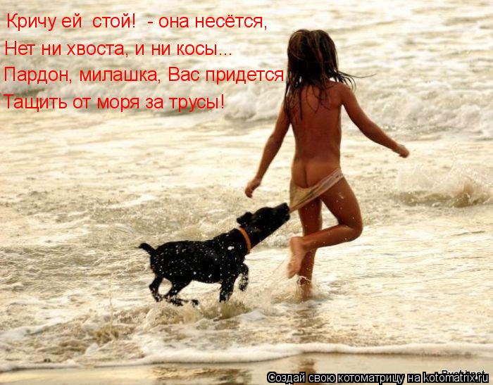 Кричу ей «стой!» - она несётся, Нет ни хвоста, и ни косы... Пардон, милашка, Вас придется Тащить от... Котоматрица: Кричу ей «стой!» - она несётся, Нет ни хвоста, и ни косы... Пардон, милашка, Вас придется Тащить от моря за трусы!