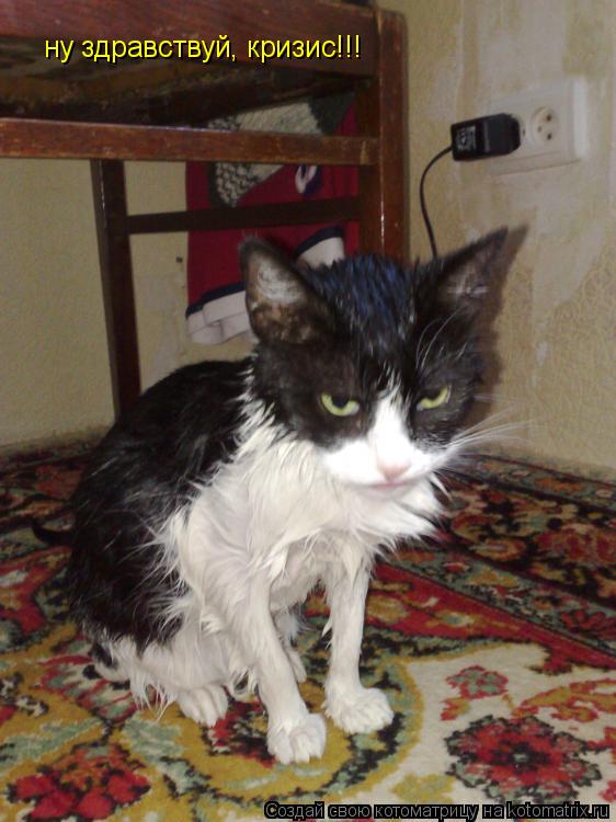 Котоматрица: ну здравствуй, кризис!!!