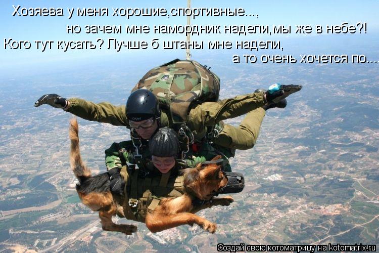 Хозяева у меня хорошие,спортивные..., но зачем мне намордник надели,мы же в небе?! Кого тут кусать? Л... Котоматрица: Хозяева у меня хорошие,спортивные..., но зачем мне намордник надели,мы же в небе?! Кого тут кусать? Лучше б штаны мне надели, а то очень хочется