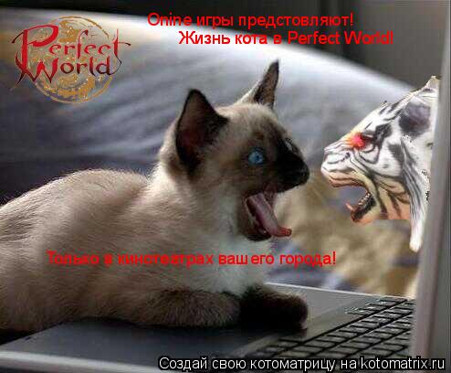 Котоматрица: Onine игры предстовляют! Жизнь кота в Perfect World! Только в кинотеатрах вашего города! Жизнь кота в Perfect World!