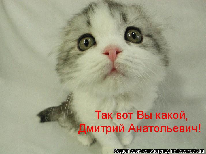 Так вот Вы какой Дмитрий Анатольевич! ,... Котоматрица: Так вот Вы какой Дмитрий Анатольевич! ,