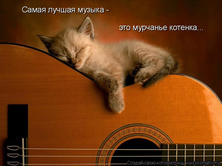 Самая лучшая музыка - это мурчанье котенка...... Котоматрица: Самая лучшая музыка - это мурчанье котенка...