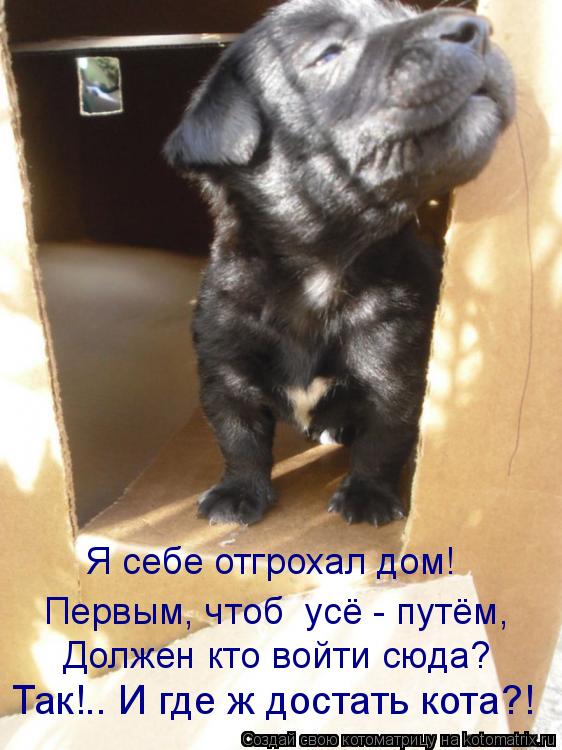 Я себе отгрохал дом! Первым, чтоб усё - путём, Должен кто войти сюда? Так!.. И где ж достать кота?... Котоматрица: Я себе отгрохал дом! Первым, чтоб усё - путём, Должен кто войти сюда? Так!.. И где ж достать кота?!