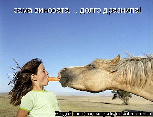 сама виновата.... сама виновата.... долго дразнила!... Котоматрица: сама виновата.... сама виновата.... долго дразнила!