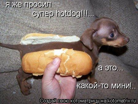 Котоматрица: я же просил а это... какой-то мини !.. супер hotdog!!!...