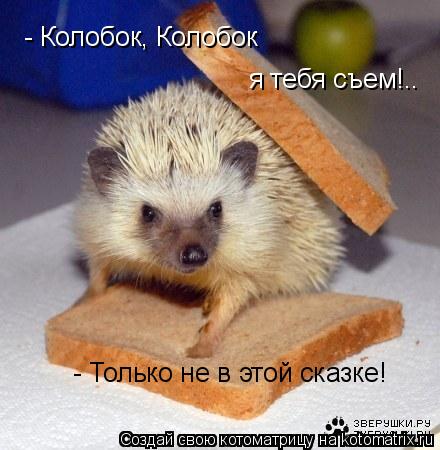 - Колобок, Колобок я тебя съем!.. - Только не в этой сказке!... Котоматрица: - Колобок, Колобок я тебя съем!.. - Только не в этой сказке!