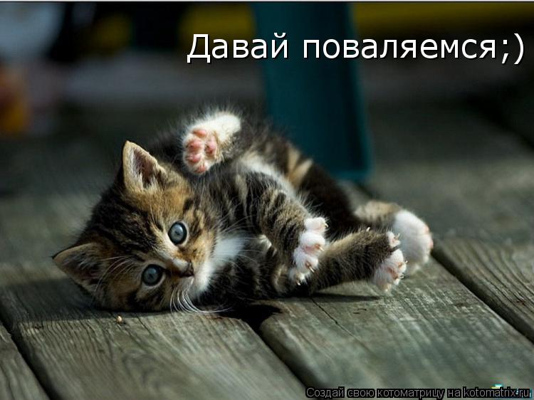 Котоматрица: Давай поваляемся;)