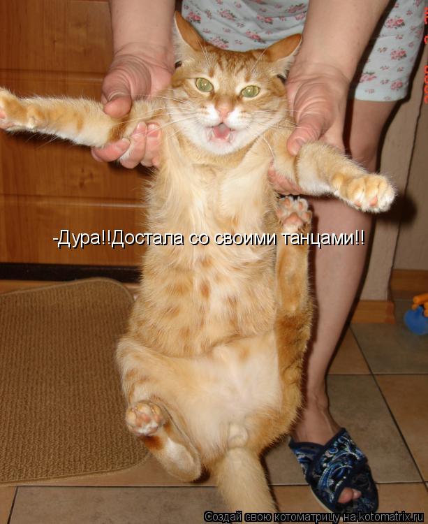 -Дура!!Достала со своими танцами!!... Котоматрица: -Дура!!Достала со своими танцами!!