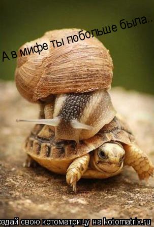 А в мифе ты побольше была...... Котоматрица: А в мифе ты побольше была...
