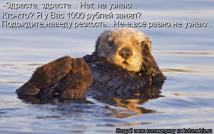 -Здрасте, здрасте... Нет, не узнаю... Подождите,наведу резкость...Не-е,всё равно не узнаю... Кто-кто?... Котоматрица: -Здрасте, здрасте... Нет, не узнаю... Подождите,наведу резкость...Не-е,всё равно не узнаю... Кто-кто? Я у Вас 1000 рублей занял?
