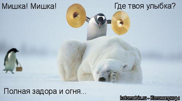 Котоматрица: Мишка! Мишка! Где твоя улыбка?  Полная задора и огня...