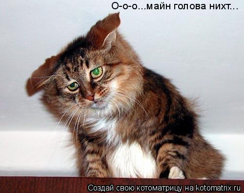 Котоматрица: О-о-о...майн голова нихт...