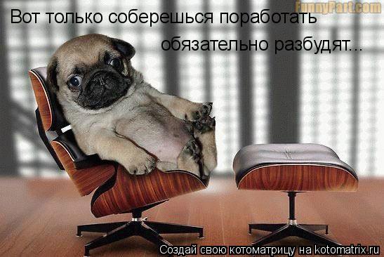 Вот только соберешься поработать обязательно разбудят...... Котоматрица: Вот только соберешься поработать обязательно разбудят...
