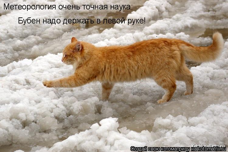 Котоматрица: Бубен надо держать в левой руке! Метеорология очень точная наука: