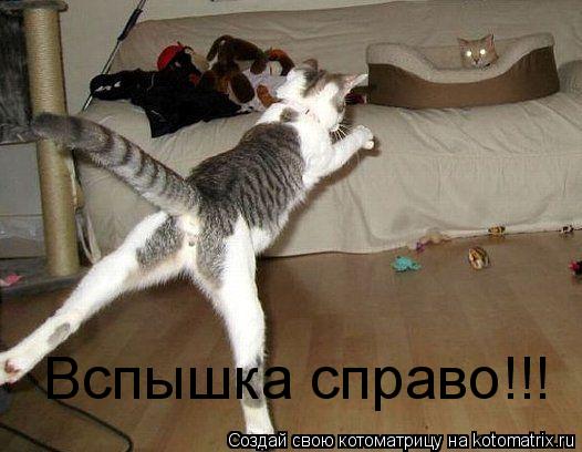 Котоматрица: Вспышка справо!!!