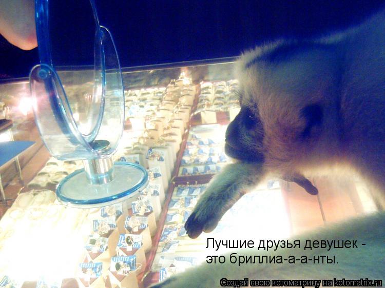 Котоматрица: Лучшие друзья девушек - это бриллиа-а-а-нты.