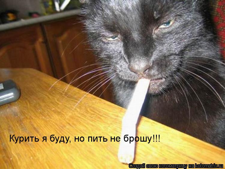 Котоматрица: Курить я буду, но пить не брошу!!!