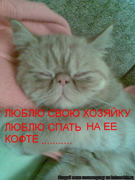 Котоматрица: ЛЮБЛЮ СВОЮ ХОЗЯЙКУ ЛЮБЛЮ СПАТЬ  НА ЕЕ   КОФТЕ  ...........