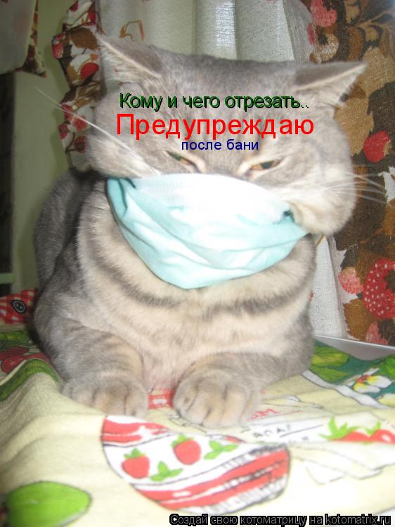 Котоматрица: Кому и чего отрезать.. Предупреждаю после бани