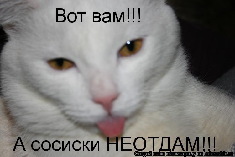 Котоматрица: Вот вам!!! А сосиски НЕОТДАМ!!!