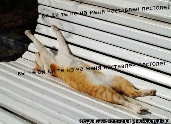 вы не ви ди те но на меня наставлен пестолет вы не ви ди те но на меня наставлен пестолет... Котоматрица: вы не ви ди те но на меня наставлен пестолет вы не ви ди те но на меня наставлен пестолет