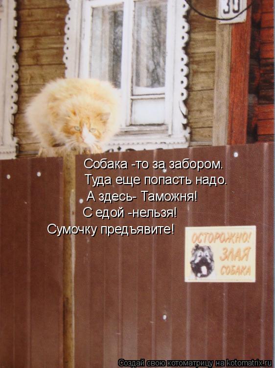 Собака -то за забором. Туда еще попасть надо. А здесь- Таможня! Сумочку предъявите! С едой -нельзя!... Котоматрица: Собака -то за забором. Туда еще попасть надо. А здесь- Таможня! Сумочку предъявите! С едой -нельзя!