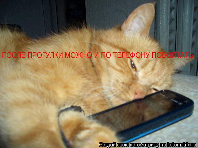 Котоматрица: ПОСЛЕ ПРОГУЛКИ МОЖНО И ПО ТЕЛЕФОНУ ПОБОЛТАТЬ