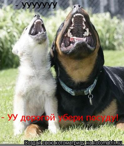 Котоматрица: - УУУУУУУ - УУ дорогой убери посуду!