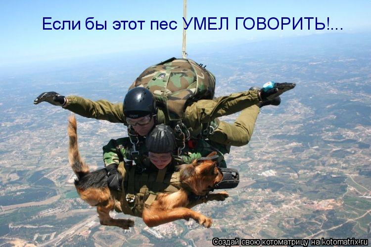 Котоматрица: Если бы этот пес УМЕЛ ГОВОРИТЬ!...