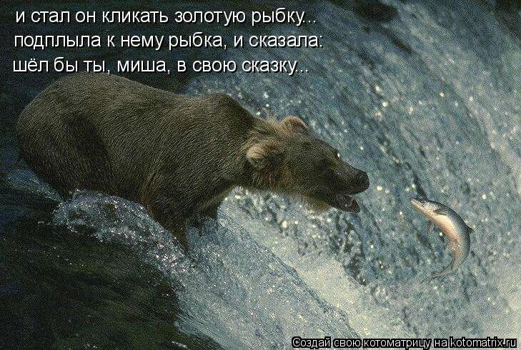 и стал он кликать золотую рыбку... подплыла к нему рыбка, и сказала: шёл бы ты, миша, в свою сказку..... Котоматрица: и стал он кликать золотую рыбку... подплыла к нему рыбка, и сказала: шёл бы ты, миша, в свою сказку...
