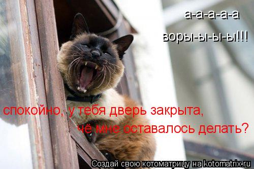 Котоматрица: а-а-а-а-а воры-ы-ы-ы!!! спокойно, у тебя дверь закрыта,  чё мне оставалось делать?