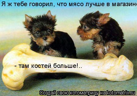 Котоматрица: Я ж тебе говорил, что мясо лучше в магазине   - там костей больше!..