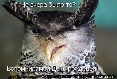 Котоматрица: Че вчера было-то? Вспомнил: мой День рожденья!