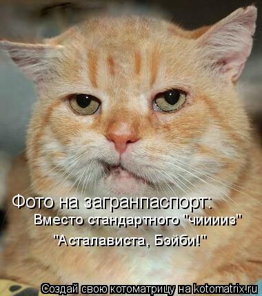 Котоматрица: Фото на загранпаспорт: Вместо стандартного "чииииз" "Асталависта, Бэйби!"