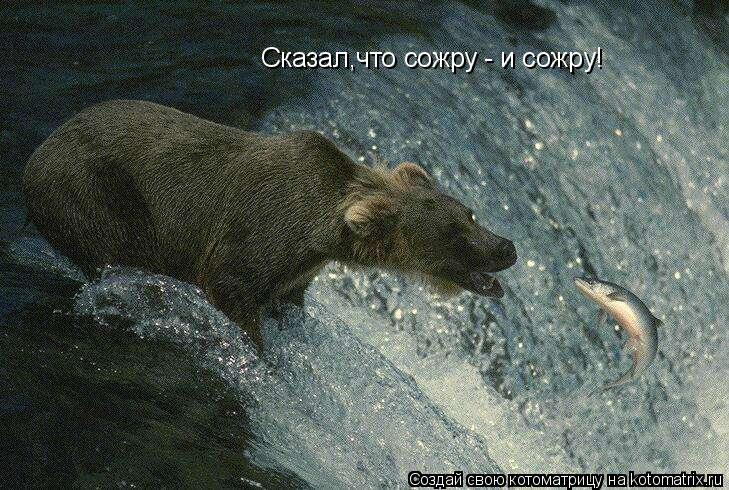 Сказал,что сожру - и сожру!... Котоматрица: Сказал,что сожру - и сожру!