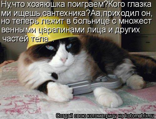Котоматрица: Ну,что хозяюшка поиграем?Кого глазка ми ищешь,сантехника?Аа,приходил он, но теперь лежит в больнице с множест венными царапинами лица и дру