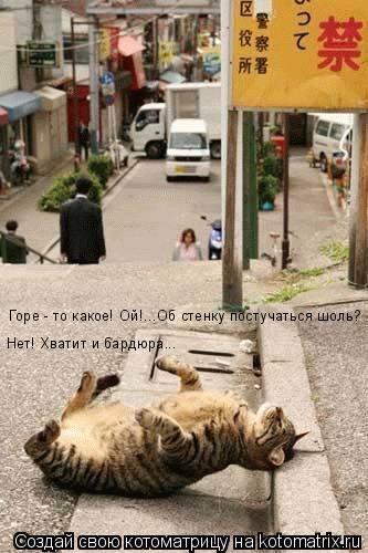 Котоматрица: Горе - то какое! Ой!...Об стенку постучаться шоль? Нет! Хватит и бардюра...