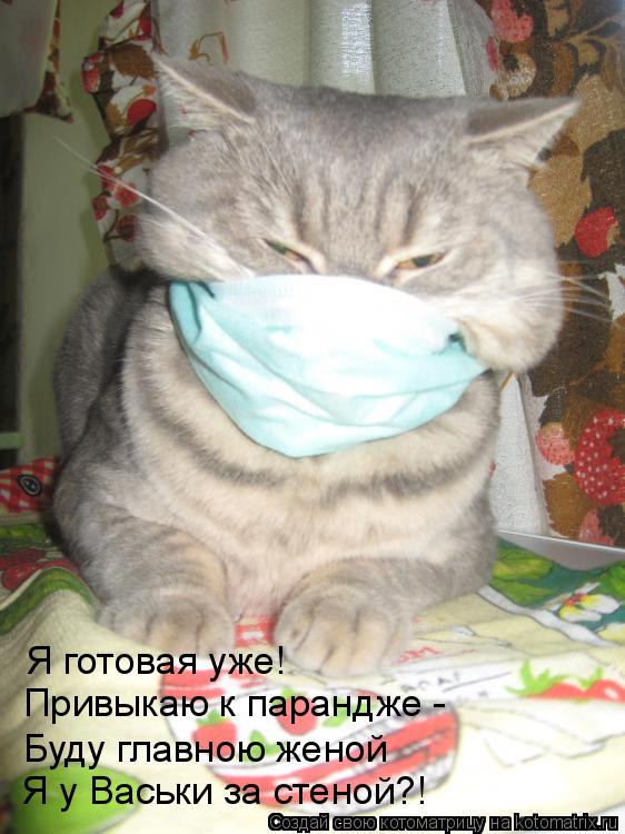 Котоматрица: Я готовая уже! Привыкаю к парандже - Буду главною женой Я у Васьки за стеной?!