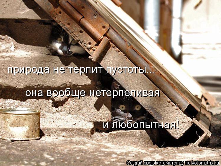 природа не терпит пустоты... она вообще нетерпеливая и любопытная!... Котоматрица: природа не терпит пустоты... она вообще нетерпеливая и любопытная!
