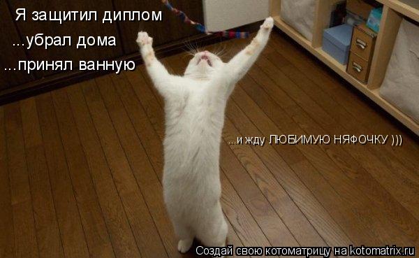 Котоматрица: Я защитил диплом ...убрал дома ...принял ванную ...и жду ЛЮБИМУЮ НЯФОЧКУ )))
