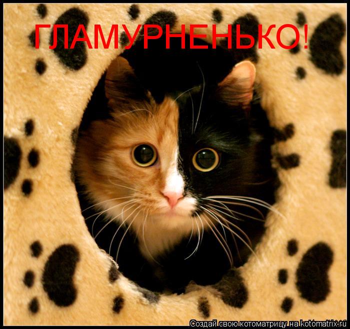 Котоматрица: ГЛАМУРНЕНЬКО!