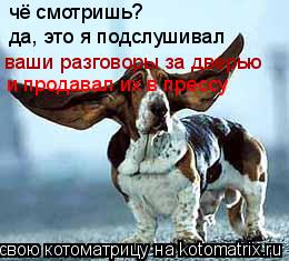 Котоматрица: чё смотришь? да, это я подслушивал ваши разговоры за дверью и продавал их в прессу