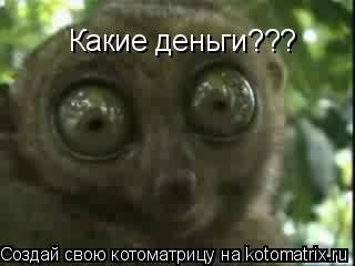 Какие деньги???... Котоматрица: Какие деньги???