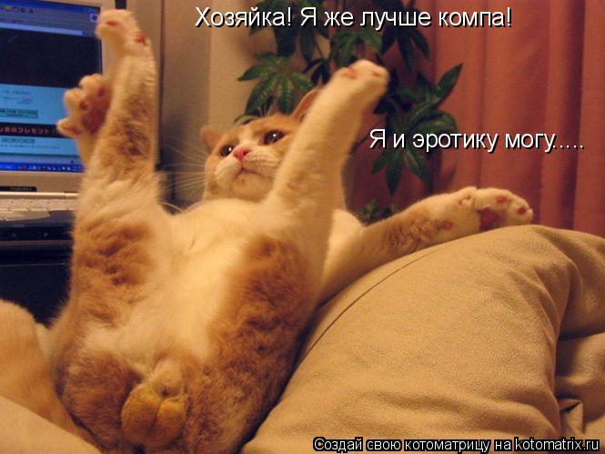 Хозяйка! Я же лучше компа! Я и эротику могу........ Котоматрица: Хозяйка! Я же лучше компа! Я и эротику могу.....