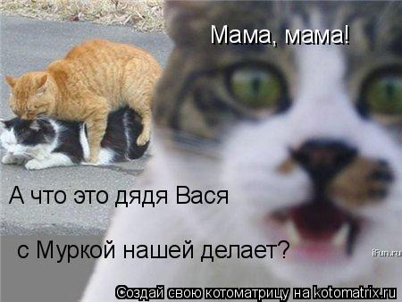 Мама, мама! А что это дядя Вася с Муркой нашей делает?... Котоматрица: Мама, мама! А что это дядя Вася с Муркой нашей делает?