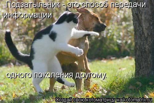 Котоматрица: Подзатыльник - это способ передачи  информации   одного поколения другому.
