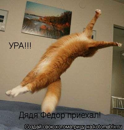 УРА!!! Дядя Фёдор приехал!... Котоматрица: УРА!!! Дядя Фёдор приехал!