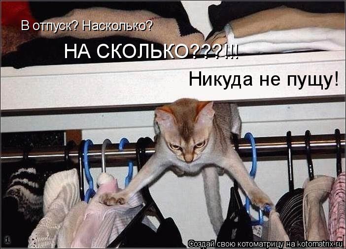 Котоматрица: В отпуск? Насколько? НА СКОЛЬКО???!!! Никуда не пущу!