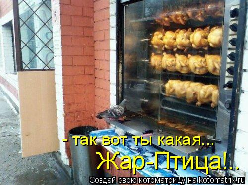 - так вот ты какая... Жар-Птица!..... Котоматрица: - так вот ты какая... Жар-Птица!..