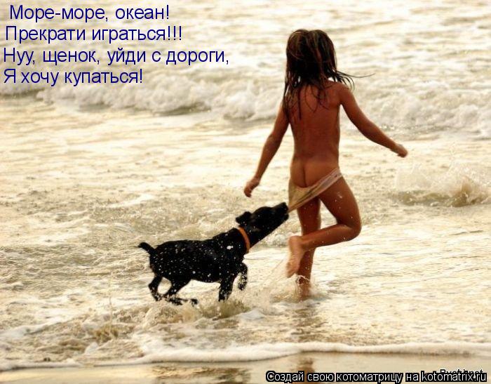 Котоматрица: Море-море, океан! Прекрати играться!!! Нуу, щенок, уйди с дороги, Я хочу купаться!